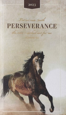 DAILY PLANNER 2023: Perseverance daily_planner_perseverance