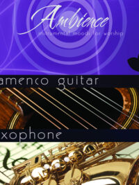 AMBIENCE 3&4: Flamengo Guitar / Saxophone