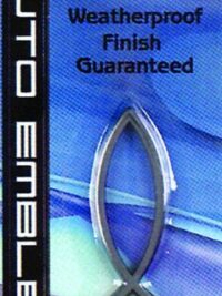 ΨΑΡΙ ΑΥΤΟΚΙΝΗΤΟΥ (Μικρό, ασημένιο)