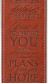 ΣΕΛΙΔΟΔΕΙΚΤΗΣ ΔΕΡΜΑΤΙΝΗ: I Know The Plans