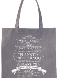 ΤΣΑΝΤΑ ΟΙΚΟΛΟΓΙΚΗ ΚΑΜΒΑΣ: I Know The Plans