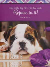 ΜΠΛΟΚΑΚΙ ΣΗΜΕΙΩΣΕΩΝ: Rejoice In It!