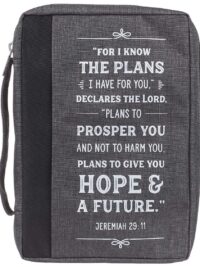 ΘΗΚΗ ΑΓ. ΓΡΑΦΗΣ ΚΑΜΒΑΣ: I Know The Plans (Medium)