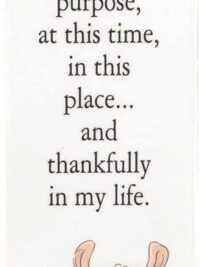 ΣΕΛΙΔΟΔΕΙΚΤΗΣ ΠΛΑΣΤΙΚΟΣ ΜΕ ΚΟΡΔΟΝΙ: Thankfully