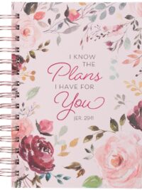 ΣΗΜΕΙΩΜΑΤΑΡΙΟ: I Know The Plans