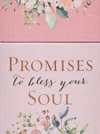BOX CARDS: Promises To Bless Your Soul
