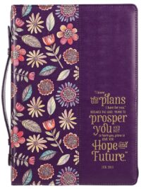 ΘΗΚΗ ΑΓ. ΓΡΑΦΗΣ: I Know The Plans (Medium)