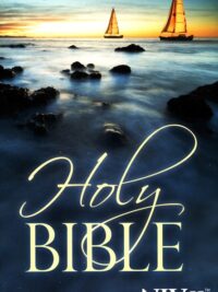 ΑΓ. ΓΡΑΦΗ: Αγγλική NIV (Large Print)