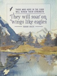 ΣΗΜΕΙΩΜΑΤΑΡΙΟ: Soar