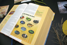 kid΄s_visual_study_bible4