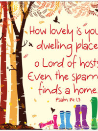 ΣΟΥΒΕΡ ΜΕ ΦΕΛΟ: Sparrow