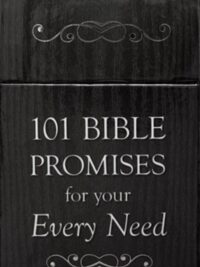 BOX CARDS: 101 Bible Promises For Your Every Need