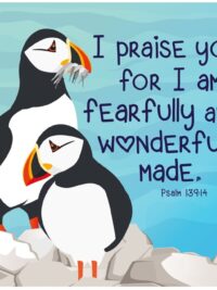 ΣΟΥΒΕΡ ΜΕ ΦΕΛΟ: I Praise You