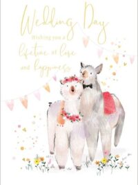 ΚΑΡΤΑ ΓΑΜΟΥ: Happiness