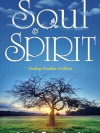 LEWIS-PENN JESSIE: Soul & Spirit (Finding Freedom In Christ)
