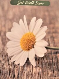 ΚΑΡΤΑ ΕΥΧΕΤΗΡΙΑ: Get Well Soon