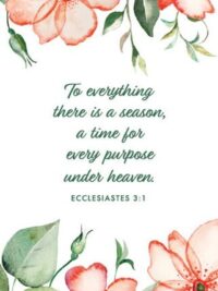 DAILY PLANNER 2026-2027: Floral