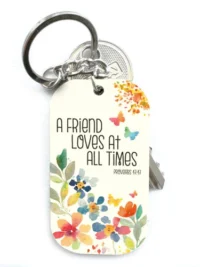 ΜΠΡΕΛΟΚ ΞΥΛΙΝΟΣ: Friend