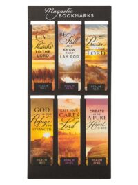 ΜΑΓΝΗΤΙΚΟΣ ΣΕΛΙΔΟΔΕΙΚΤΗΣ: Promises