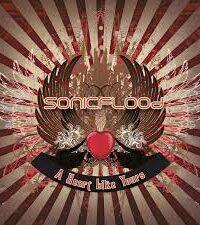 SONICFLOOD: A Heart Like Yours