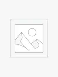 Δείκτης τοποθέτησης