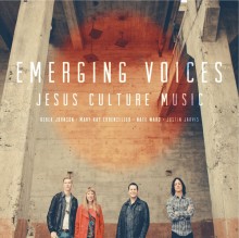Emerging_Voices
