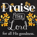 magnet_praise_the_lord